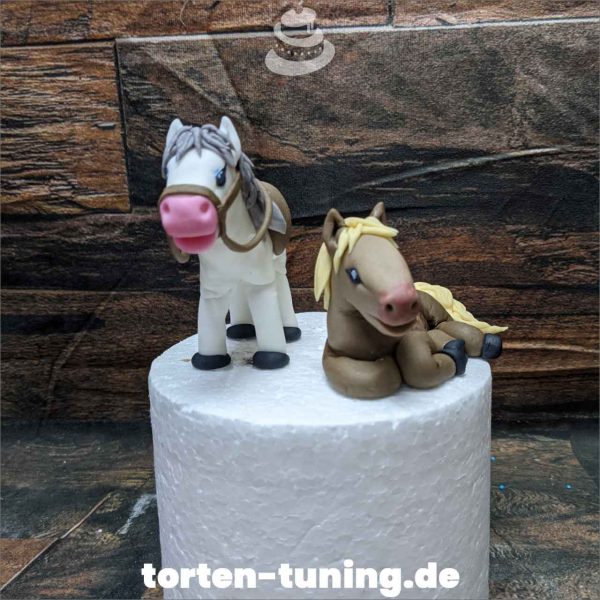 Cake topper modellierte Figur Fondantfigur Tortenfigur Torte Torten Tuning Geburtstagstorte Suhl Hochzeitstorte Kindertorten Babytorten Fondant online